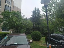 临湖;建业森林半岛228平精装湖景大平层拎包住