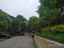 森林半岛湖景房电梯复试纯南户有证有暖