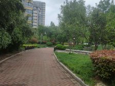 小高层 精装两室 配套齐全 采光好 全明户型