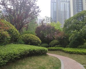 东方今典河悦3室2厅南北