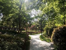 天河盛世3室1厅西南