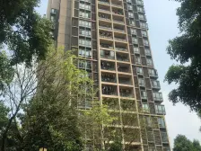 业主诚心出售 户型方正 采光充足