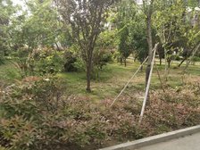 带车位双层复式房南北露台冠亚星城精装好房急售