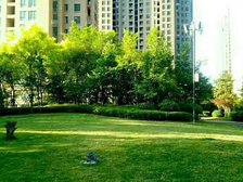 华都·金色兰庭3室1厅南