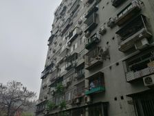 青年公寓1室1厅南