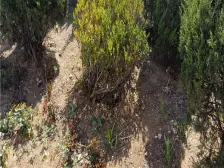 南北通厅通透五明户型,精装修拎包入住