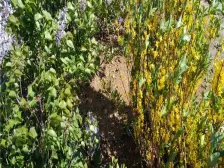 精装修公建,窗户玻璃都是重新换的,精装修