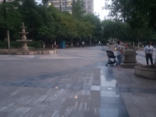 天正璧城中央 3室1厅 东