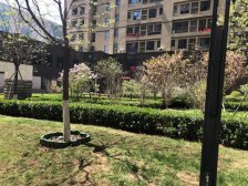 红星国际广场 1室1厅 北