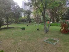 盘龙商圈 金茂悦跃层三房双卫 精装修 总价低