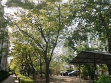 韩村河·韩村河西小区·3室·2厅
