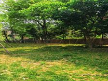 滨江河畔 3室1厅 南