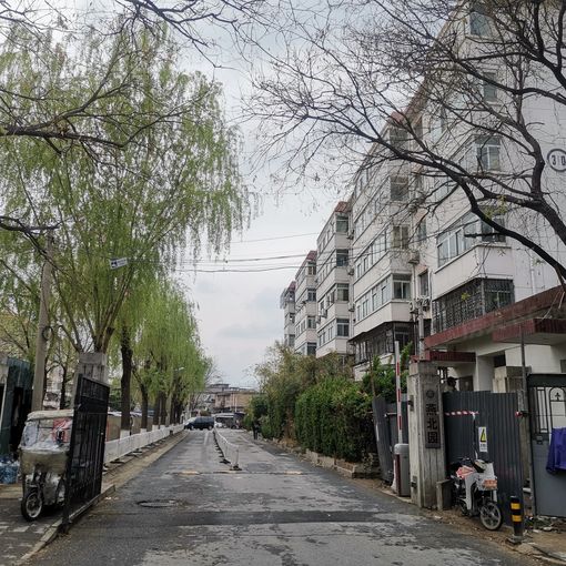 燕北园3室1厅1卫南北朝向8000.00元/月出租