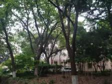 古美罗阳·平阳四街坊·3室·2厅