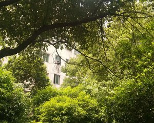 红谷滩区大三房生活便利无物业费