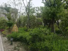 绿地海域苏河源(二期) 2室2厅 南 北