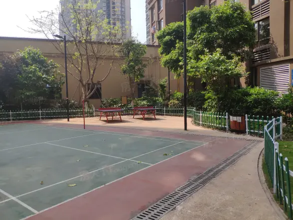 盘龙金茂悦