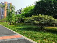 滨江河畔 2室1厅 东南