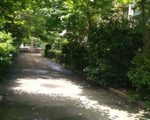 低密洋房社区得房率高户型方正
