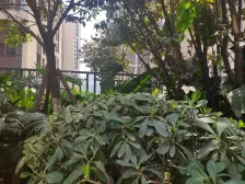 联发欣悦 2室1厅 南