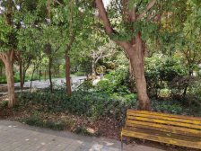 盘龙 皇庭珠宝城三房