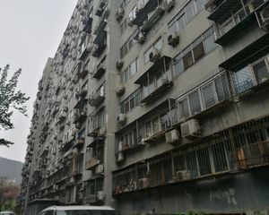 青年公寓1室1厅西南