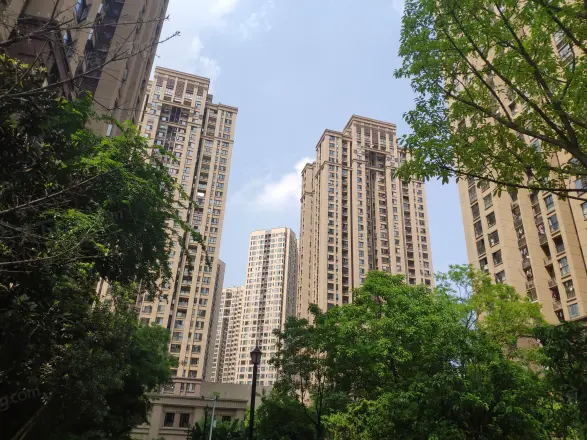 盘龙金茂悦