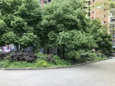 盘龙新城商圈里 交通便利 生活配套齐全 户型方正