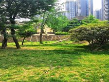 滨江河畔 2室1厅 西