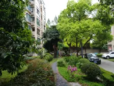 望族新苑3室2厅2卫南朝向1150.00万元/套出售