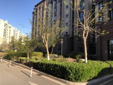 两室南北通透 中间楼层 电梯洋房 看房方便