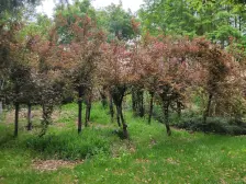 江秋新苑 精装三房两卫 采光好 业主诚意出售