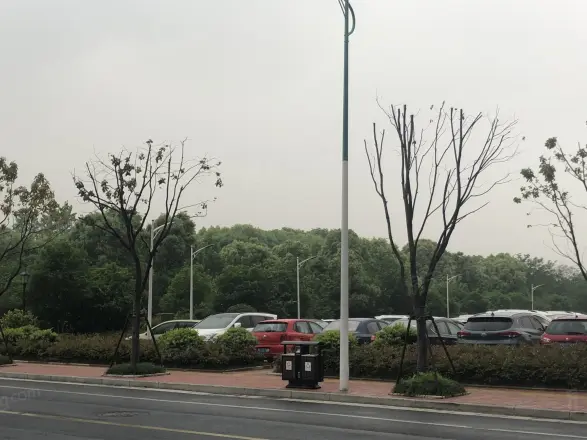 铂金名筑
