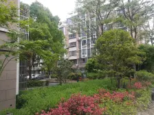 俯瞰吴淞江,冬天也可全天享受阳光,所见即所得
