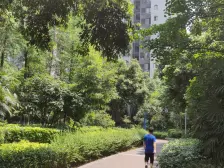 龙头寺 鲁能星城九街区三房137万