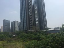 索尔龙舟 1室0厅 西南