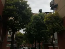 板块总价较di1房,刚需出租必看,租金5100
