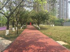 索尔龙舟 1室0厅 东