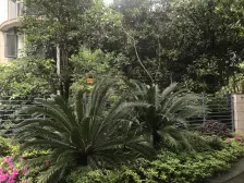 静安寺商圈大一房朝南落地大窗,装修好,业主诚意出售