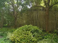 一口价房源 60万婚房装修 人车分流小区