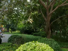 大坪 创景大厦一房