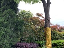 户型通透,格局好,采光好,品质高。