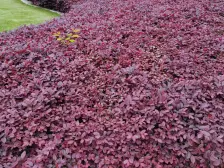 产权车位?建ping地杰?人车分流?品质小区?正气