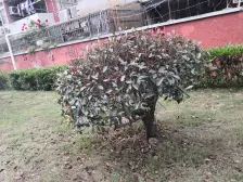 大一房出现 一手动迁房源,产权清晰