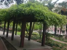 共康八村 2室1厅1卫 南