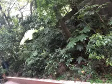 龙湖时代天街一街之隔,马家堡,住家装修,从未出租