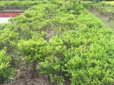 次新房 南北通透户型 婚房装修 老业主委托 诚意出售