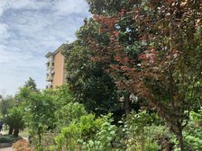 松江区新桥协和海琴花园2室2厅