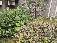 近地铁,随时看房,刚需上车 必看好房