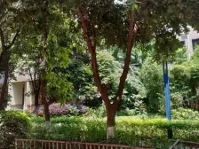 轻轨旁鲁能大社区住家安静带靶标